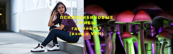 дурь Приозерск