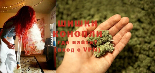 хмурый Покачи