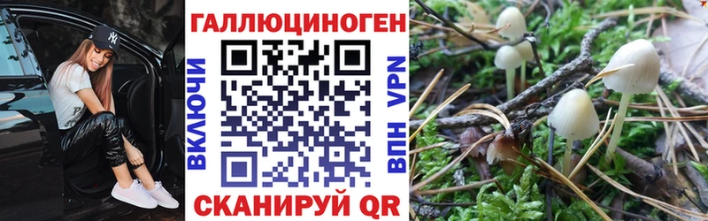 Купить закладки  Льгов  Псилоцибиновые грибы мухоморы 